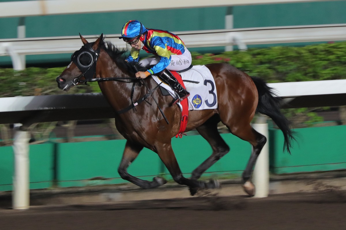 Happy Fat Cat carries Jack Wong to his first win this season at Sha Tin on October 26. Photo: Kenneth Chan