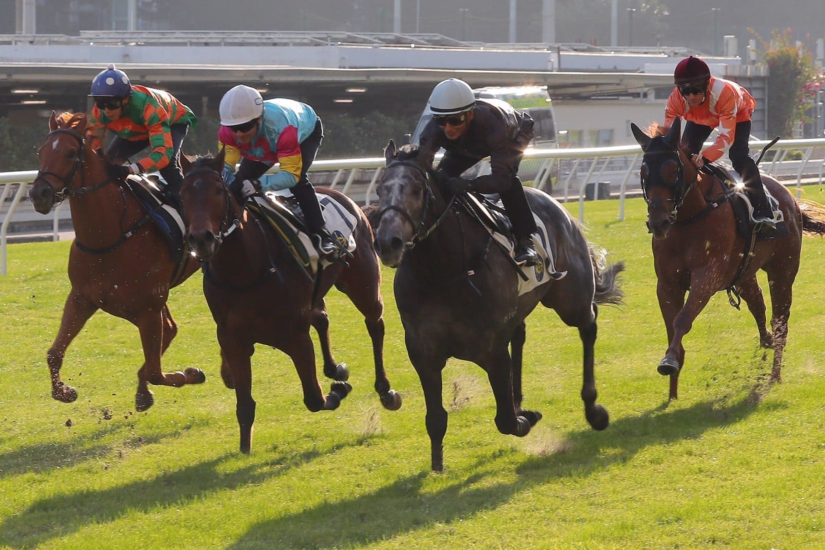 Tony Millard-trained import Wings Of War trials under Karis Teetan (black colours) at Happy Valley on December 23. Photo: Kenneth Chan