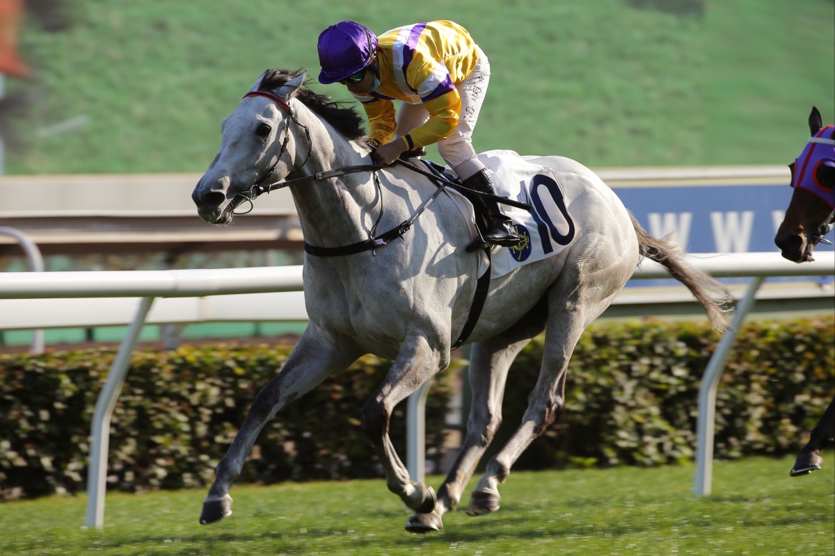 Glorious Dragon wins the 2021 Centenary Vase. Photos: Kenneth Chan