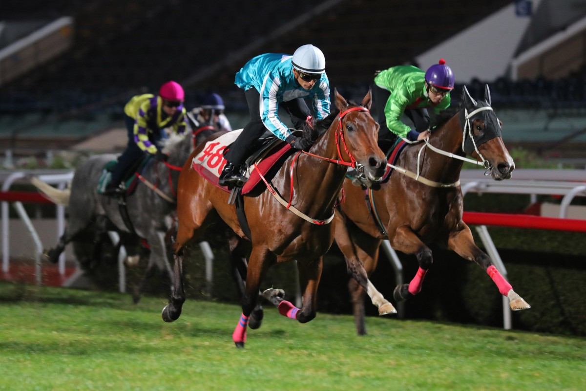 Romantic Warrior wins his trial at Sha Tin on Tuesday morning. Photo: Kenneth Chan
