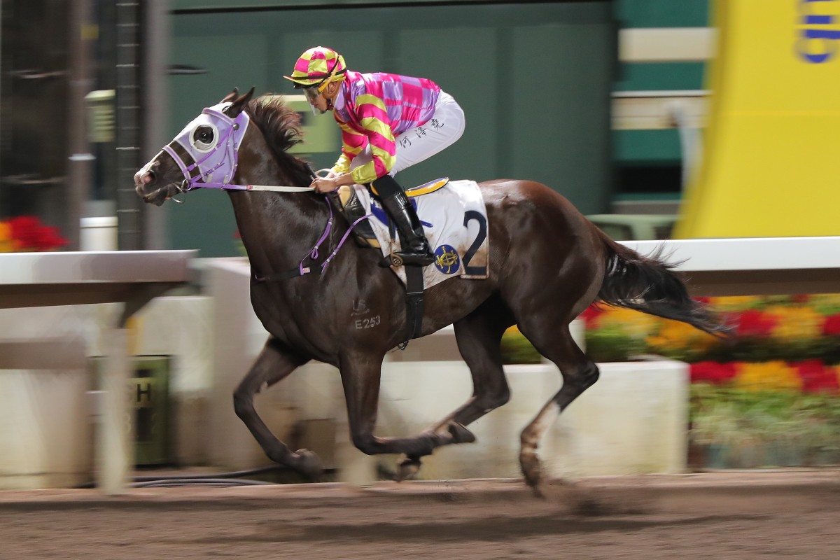 Super Win Dragon cruises to victory under Vincent Ho at Sha Tin on October 26. Photo: Kenneth Chan