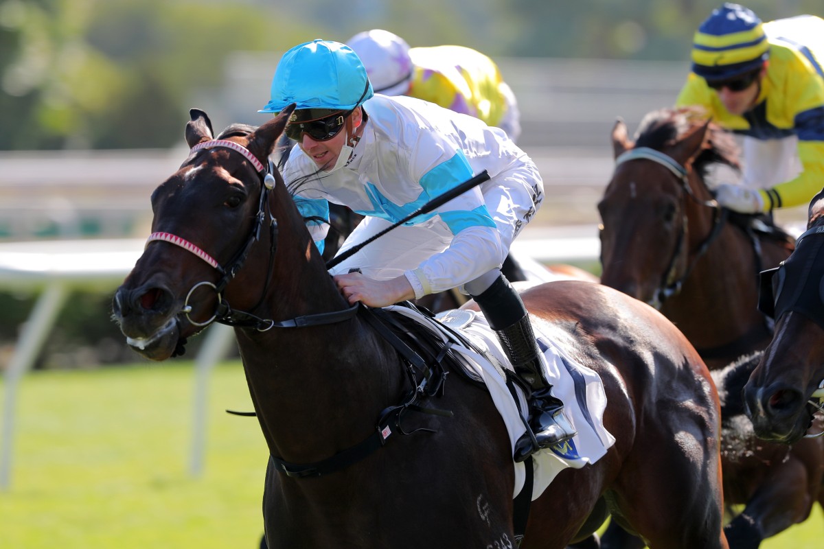 Excellent Fighter makes a winning debut under Jye McNeil at Sha Tin on December 18. Photo: Kenneth Chan