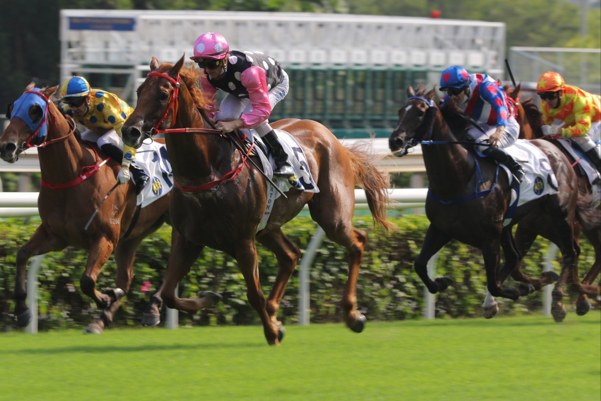 Beauty Eternal wins on debut at Sha Tin in October. Photo: Kenneth Chan