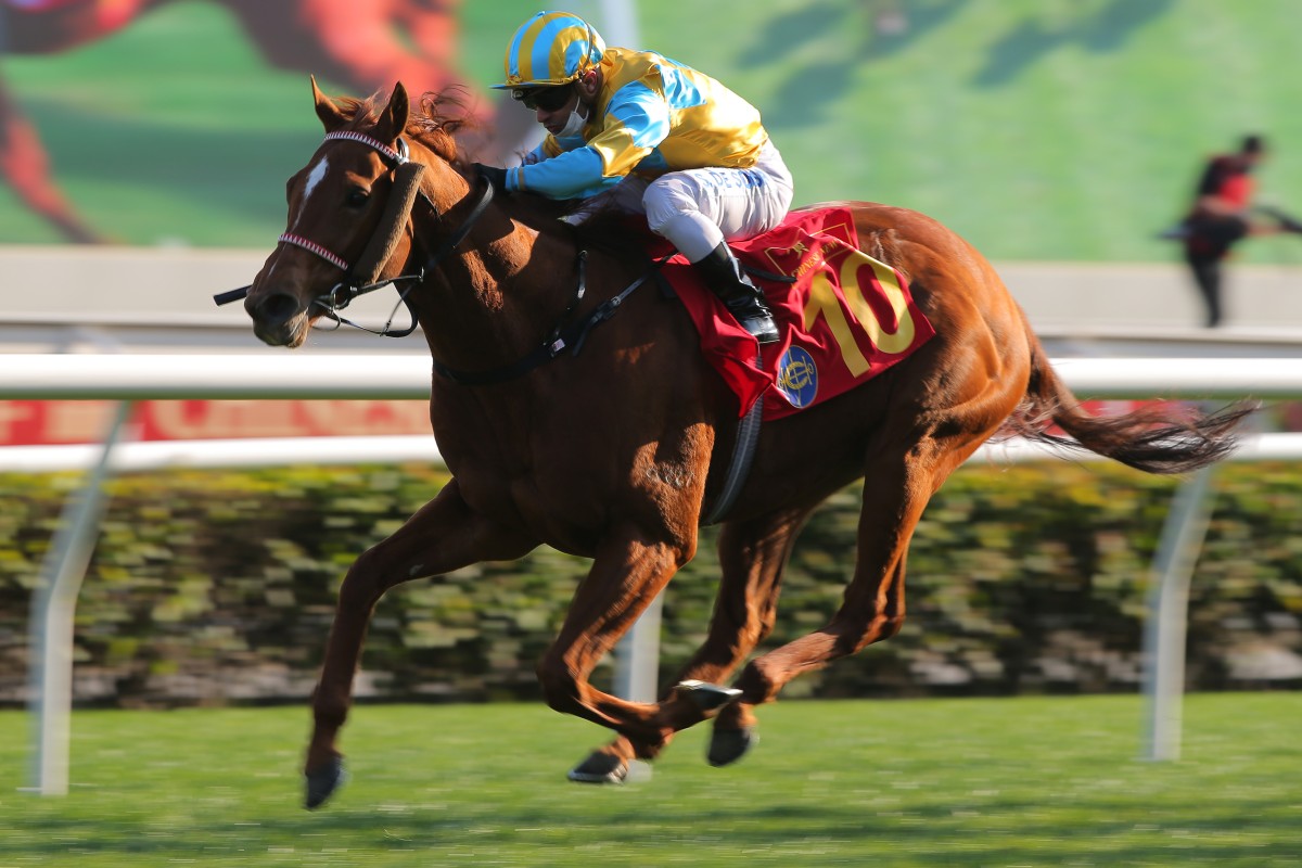 Mr Ascendency strides to Chinese New Year Cup glory under Silvestre de Sousa at Sha Tin on Tuesday. Photos: Kenneth Chan