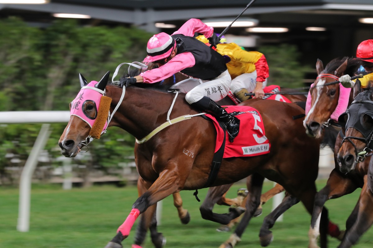 Yo Beauty wins under Antoine Hamelin at Happy Valley on December 21. Photo: Kenneth Chan