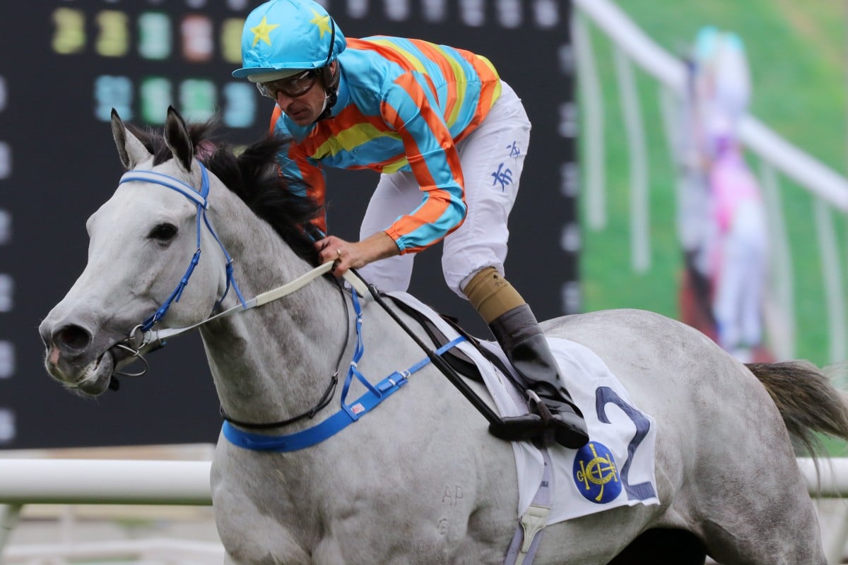 Senor Toba wins the Group Three Centenary Vase (1,800m) under Hugh Bowman at Sha Tin on Sunday. Photos: Kenneth Chan