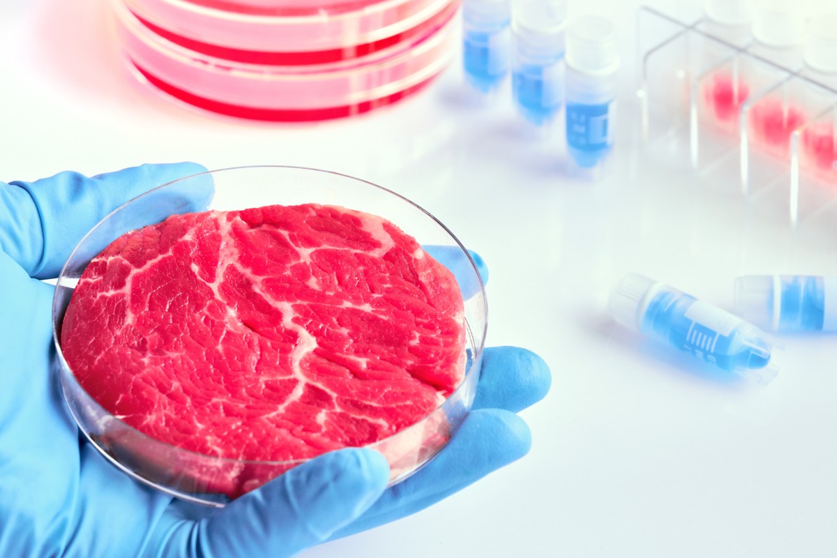 Cultivated meat is grown in a lab using cells that are harvested from live animals. Photo: Shutterstock