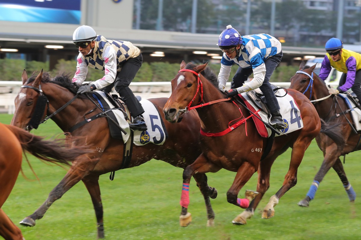 Chilean Group One winner Alacrity (left) trials under Karis Teetan at Happy Valley on January 28. Photos: Kenneth Chan