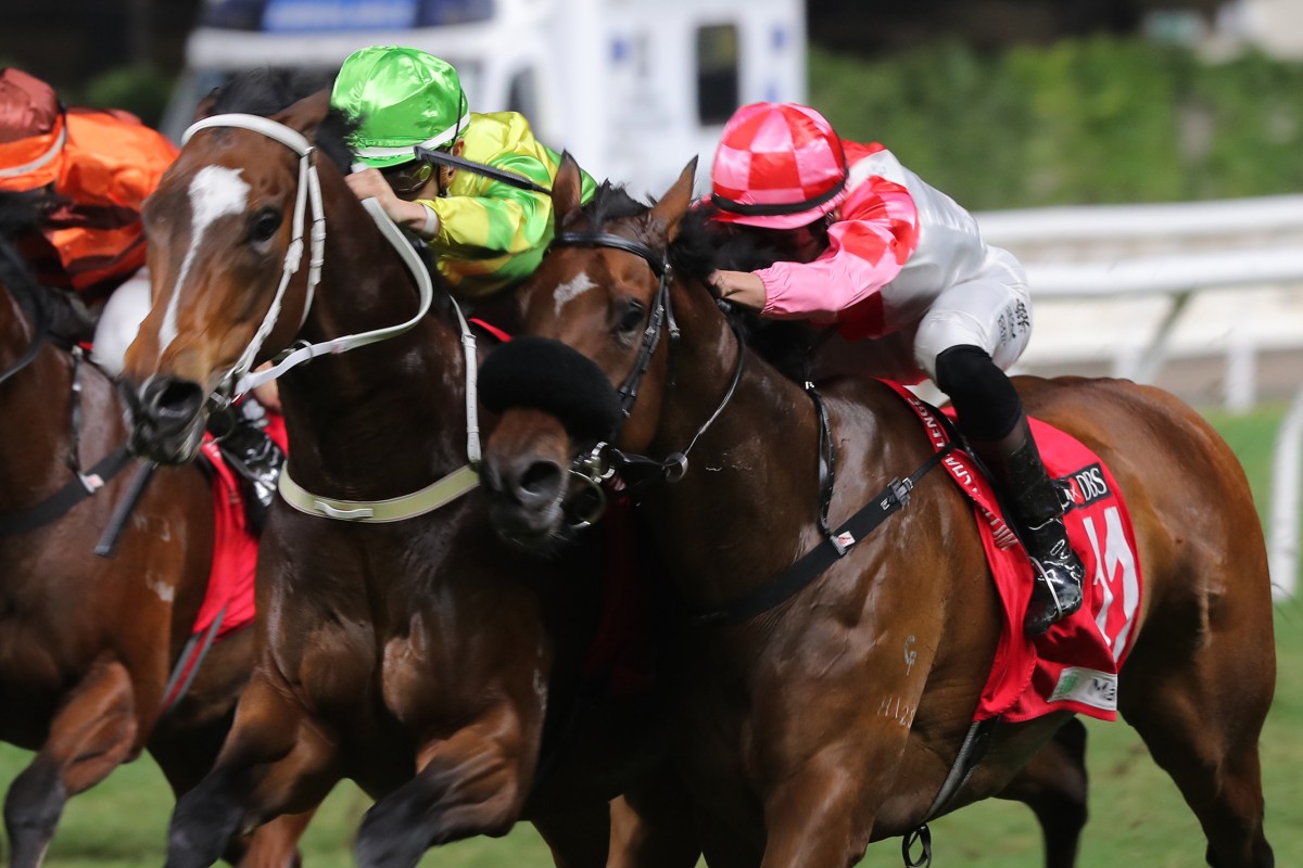 California Cible (green cap) passes the winning post first before losing on protest to Humble Star (red cap) at Happy Valley on December 28. Photo: Kenneth Chan