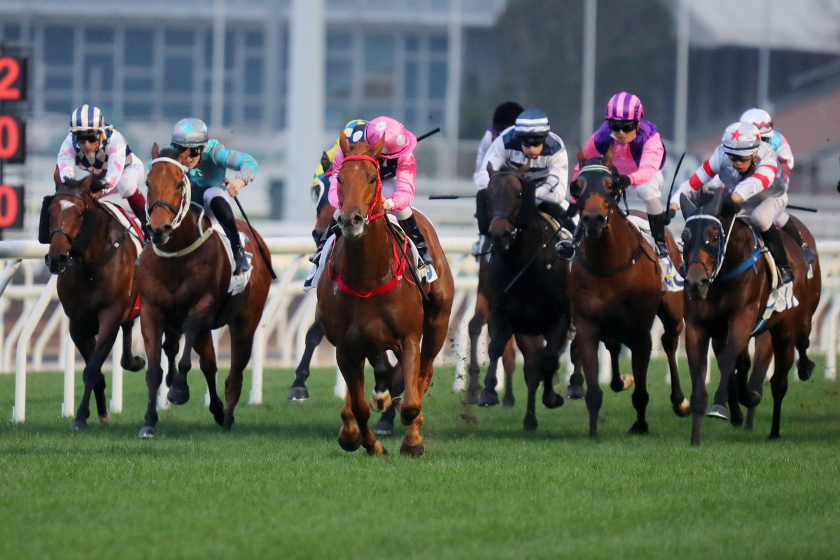 Citibet’s turnover on Hong Kong racing continues to climb. Photos: Kenneth Chan