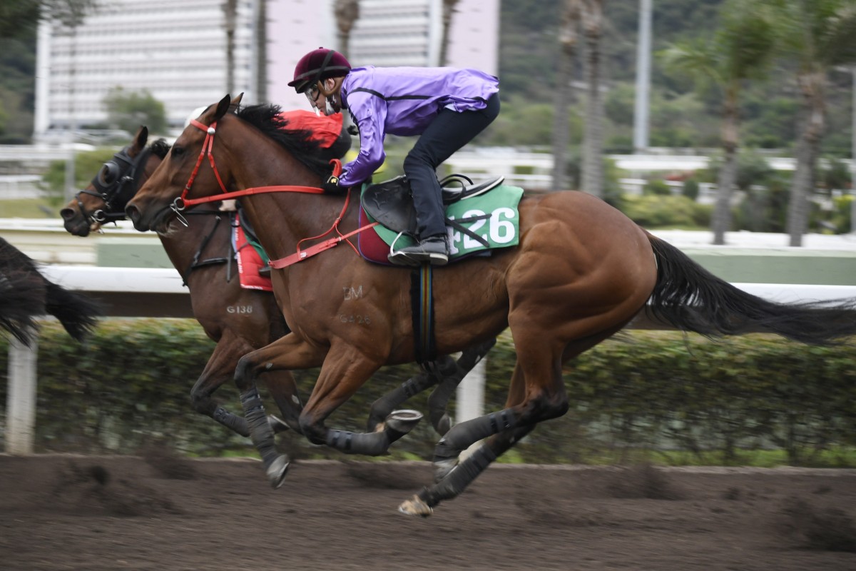 Luke Currie trials Sweet Encounter at Sha Tin recently. Photos: Kenneth Chan