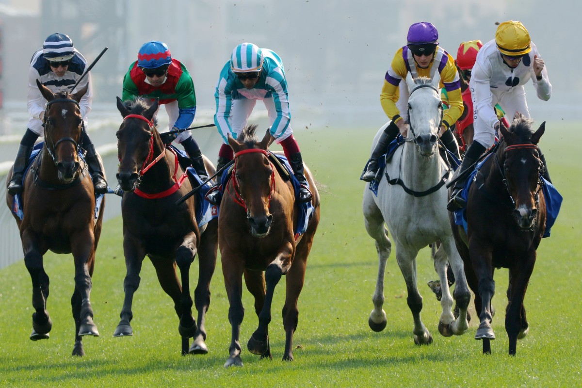 Vincent Ho (right) pumps his fist after Golden Sixty’s Gold Cup victory at Sha Tin on Sunday. Photos: Kenneth Chan