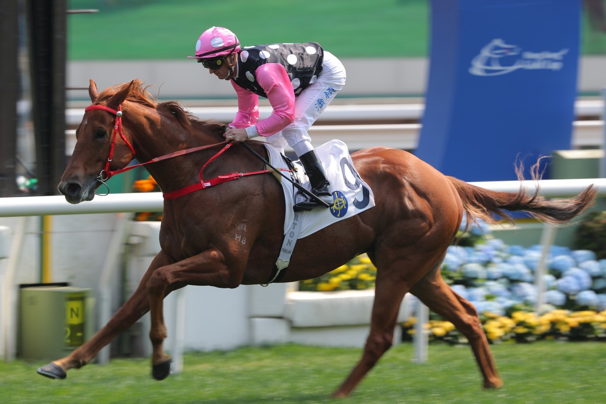 Beauty Eternal wins the Class Two Citigold Handicap (1,600m) at Sha Tin on Sunday. Photo: Kenneth Chan
