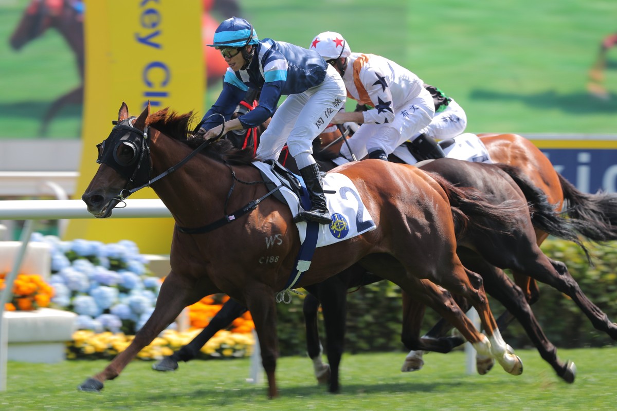 Duke Wai wins the Class One Devon Handicap (1,200m) under Jerry Chau at Sha Tin on Sunday. Photos: Kenneth Chan