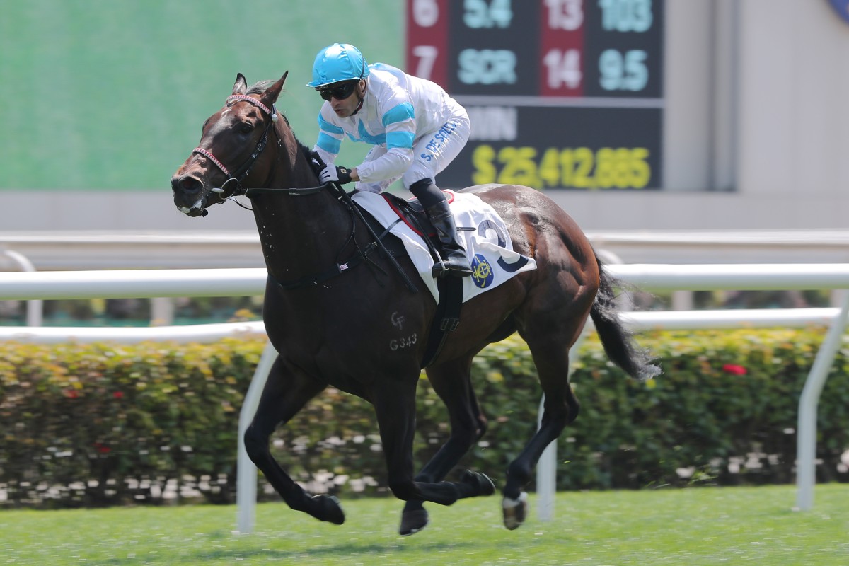 Ricky Yiu’s Excellent Fighter salutes under Silvestre de Sousa at Sha Tin on Sunday. Photo: Kenneth Chan