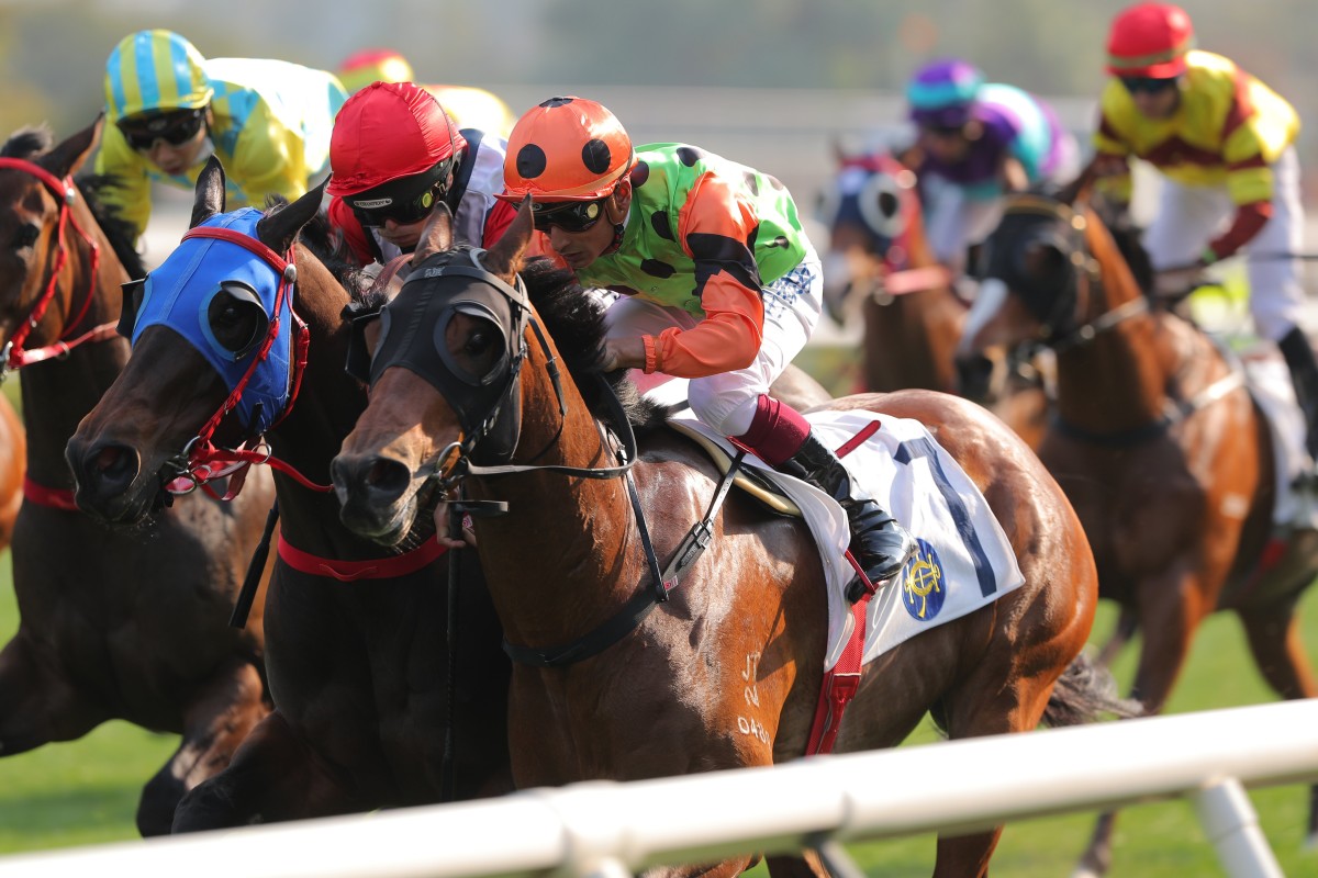 Carroll Street makes a triumphant return under Karis Teetan at Sha Tin on February 19. Photos: Kenneth Chan