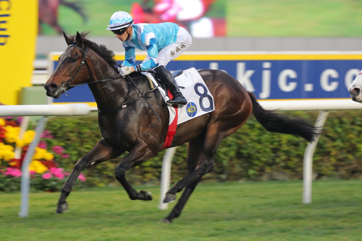 Dragon’s Luck salutes under Lyle Hewitson at Sha Tin last month. Photo: Kenneth Chan
