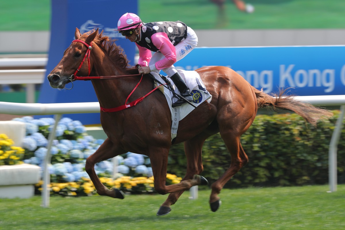 Beauty Eternal wins under Zac Purton at Sha Tin in February. Photos: Kenneth Chan