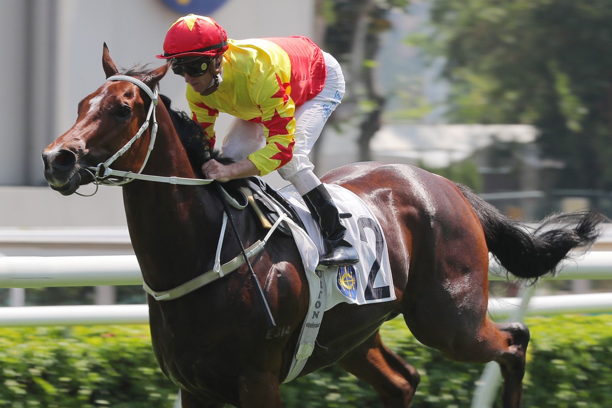 California Spangle wins the Group Three Celebration Cup at Sha Tin on September 25 in this season’s fastest 1,400m time. Photo: Kenneth Chan