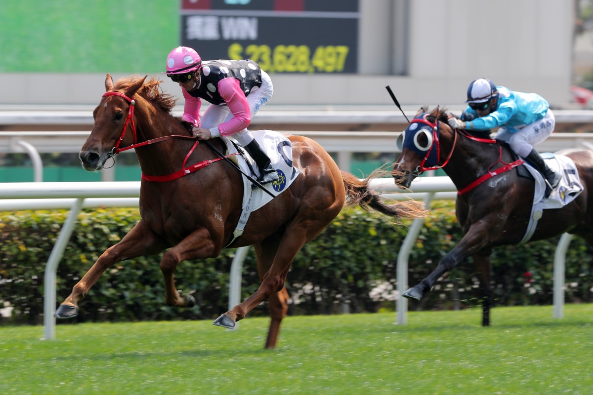 Hong Kong Derby favourite Beauty Eternal salutes at Sha Tin last month. Photos: Kenneth Chan