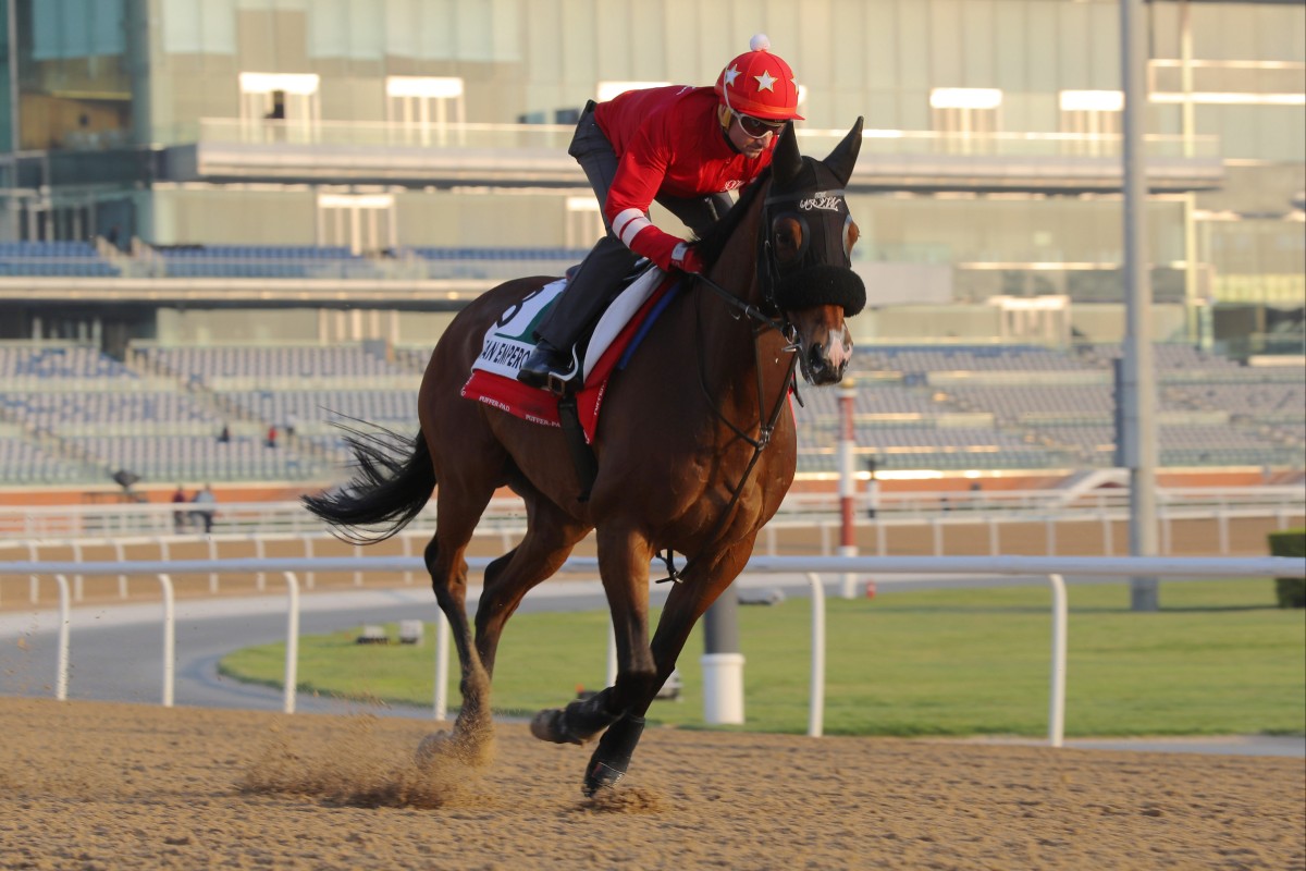 Russian Emperor gallops under trainer Douglas Whyte at Meydan on Thursday. Photos: Kenneth Chan