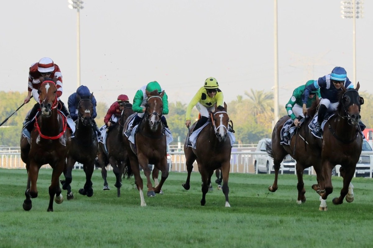 Sight Success (left) and Duke Wai (right) battle it out in Saturday night’s Al Quoz Sprint in Dubai. Photos: Kenneth Chan