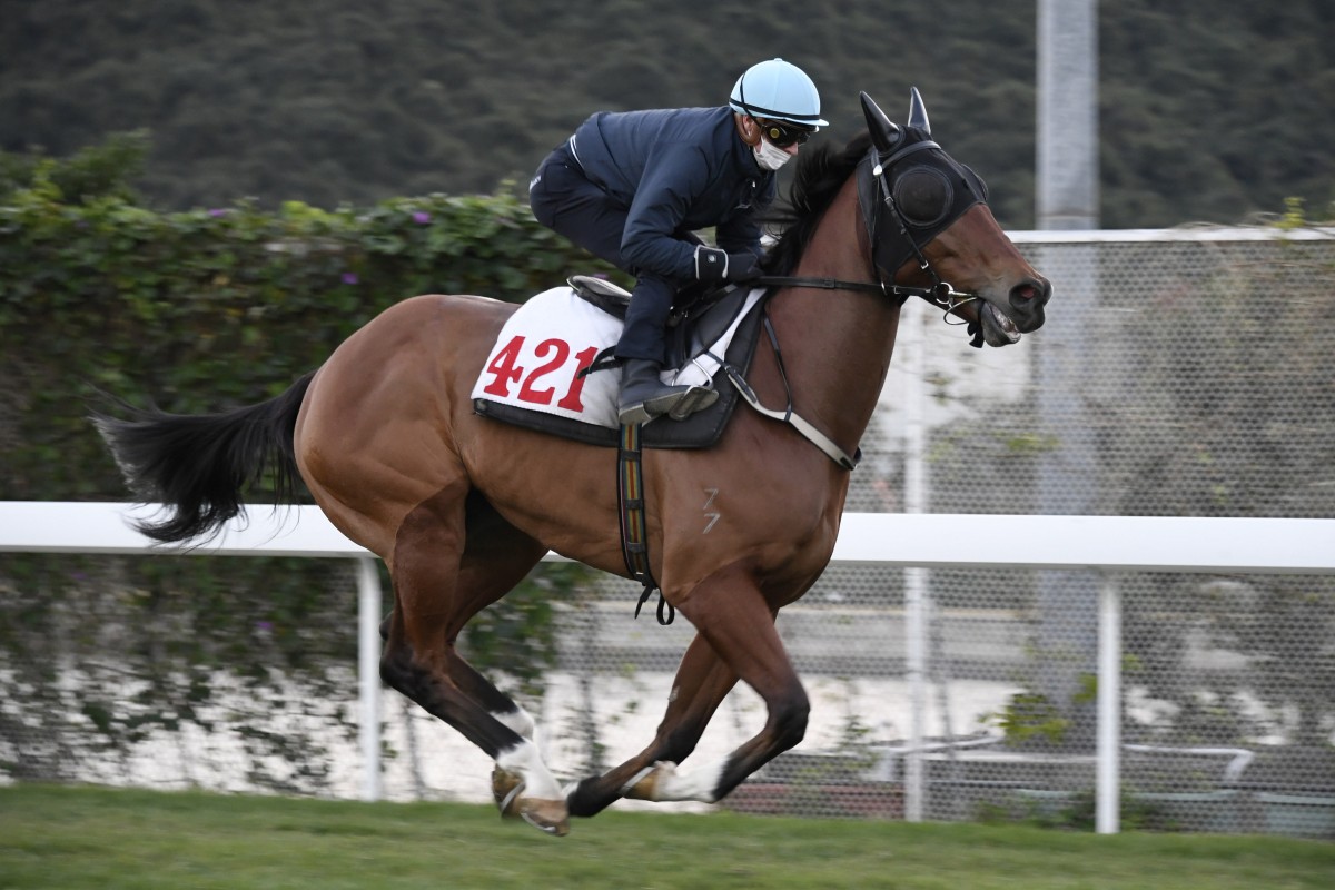 Zac Purton gallops Nervous Witness at Sha Tin on December 19. Photo: Kenneth Chan
