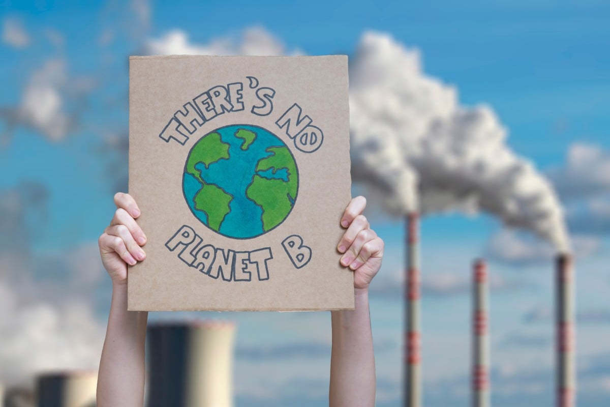 Humanity’s actions have led to the destruction of the environment, so we must take action to save it – after all, we reap what we sow. Photo: Shutterstock