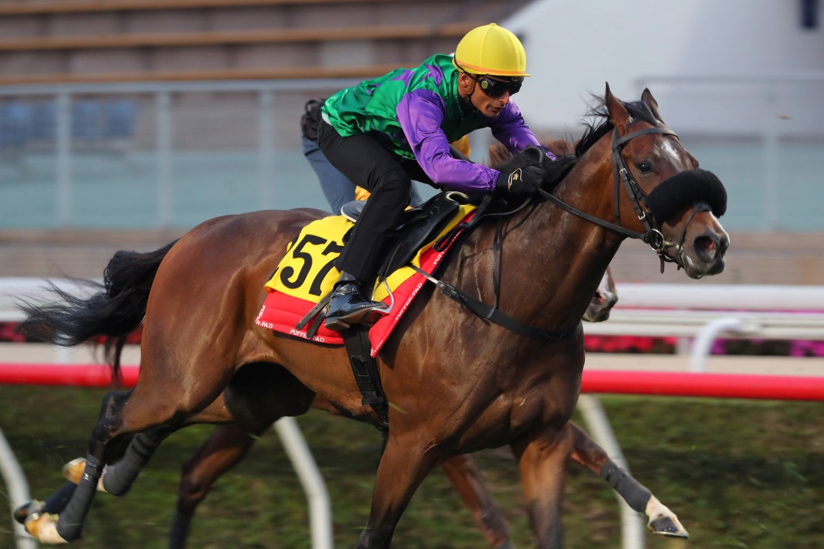 Flaming Rabbit trials under Karis Teetan at Sha Tin on March 7. Photo: Kenneth Chan
                        