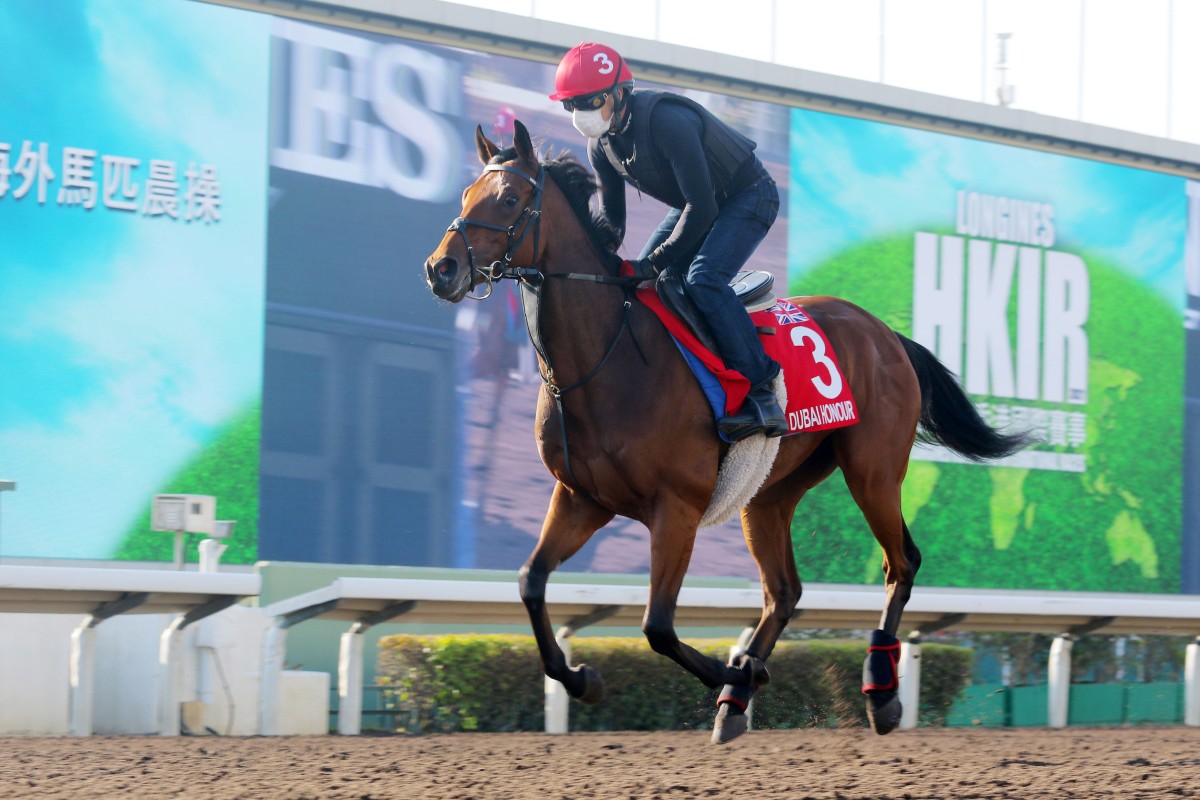 Dubai Honour gallops at Sha Tin ahead of the 2021 Hong Kong Cup. Photo: Kenneth Chan