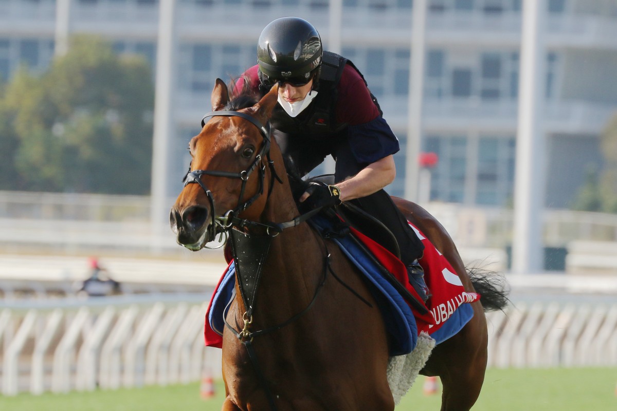 Dubai Honour gallops under Tom Marquand at Sha Tin in 2021. Photo: Kenneth Chan