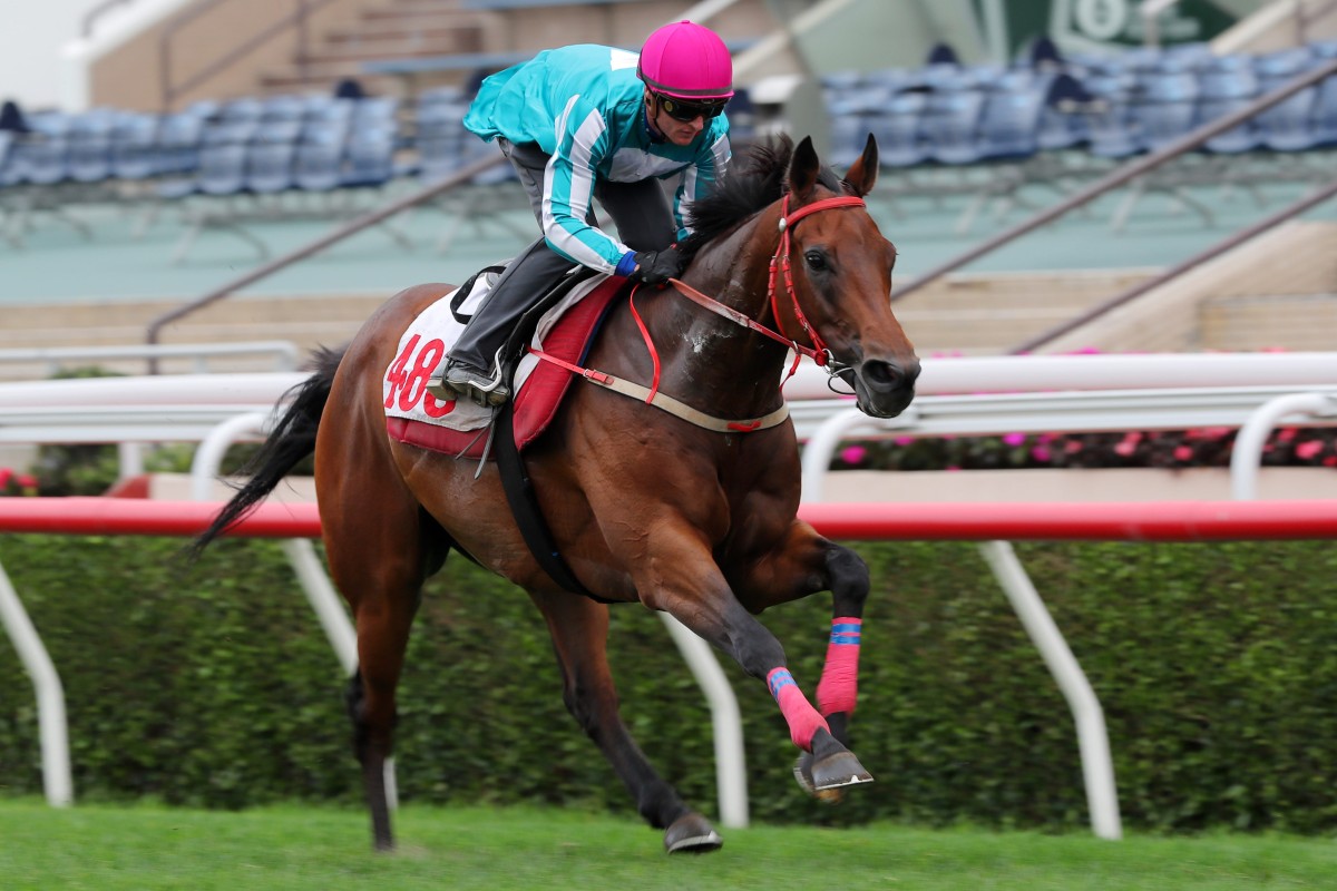 Romantic Warrior effortlessly wins his trial under Zac Purton at Sha Tin on Tuesday morning. Photo: Kenneth Chan