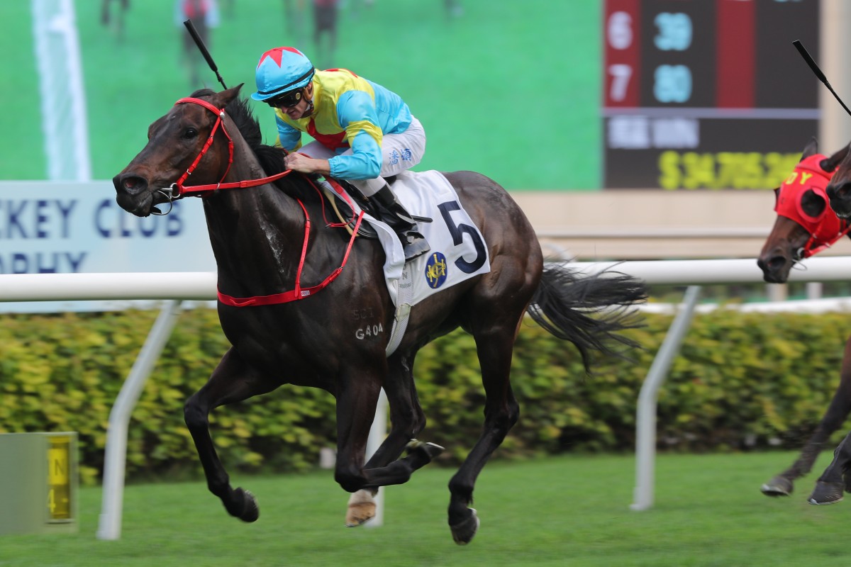 Victor The Winner salutes under Zac Purton at Sha Tin on Saturday afternoon. Photos: Kenneth Chan