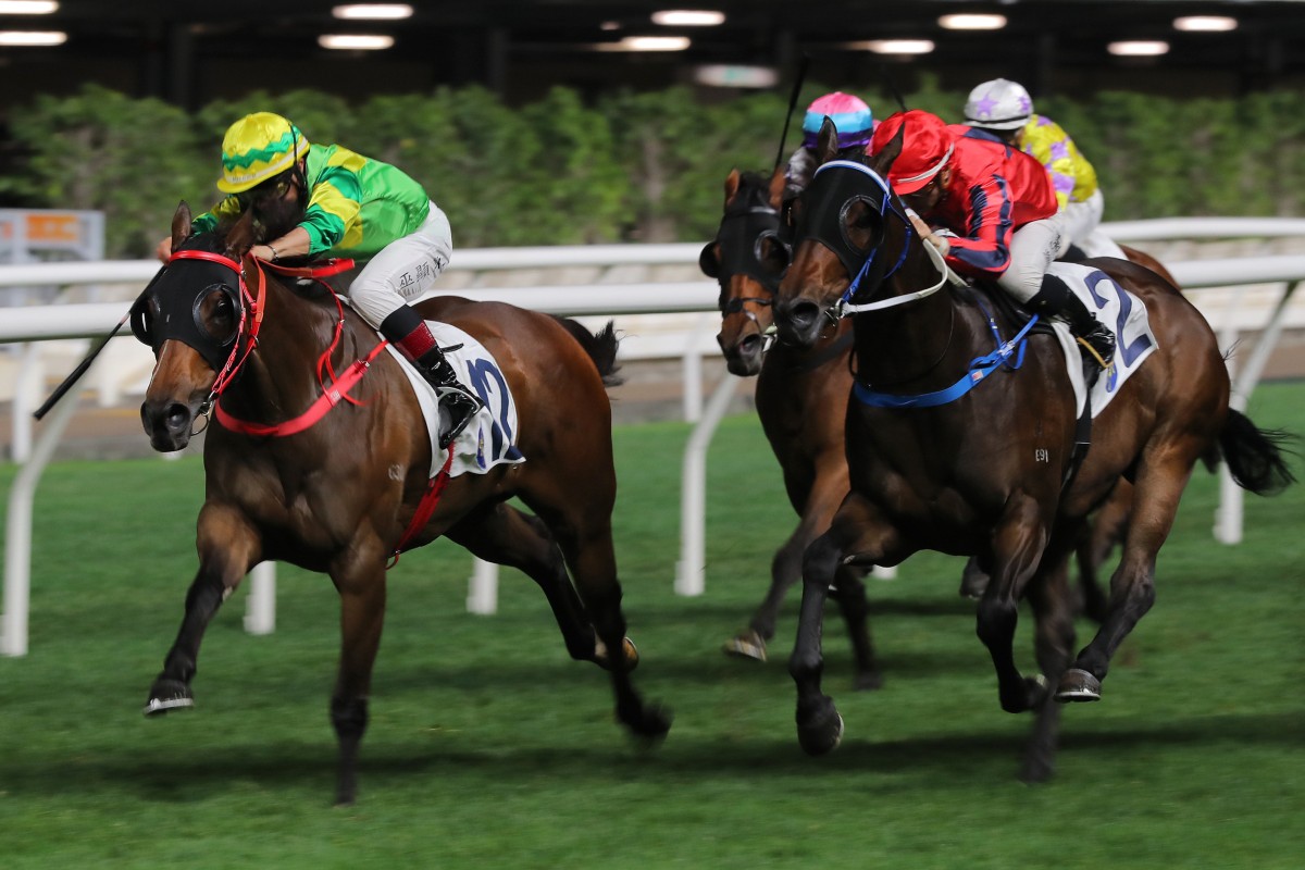 Victory Scholars (right) finishes second to My Intelligent (left) at Happy Valley on March 22. Photo: Kenneth Chan