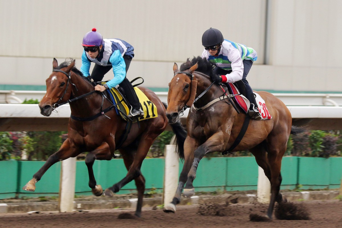 Voyage Bubble (right) edges Drombeg Banner in Tuesday morning’s first trial at Sha Tin. Photo: Kenneth Chan