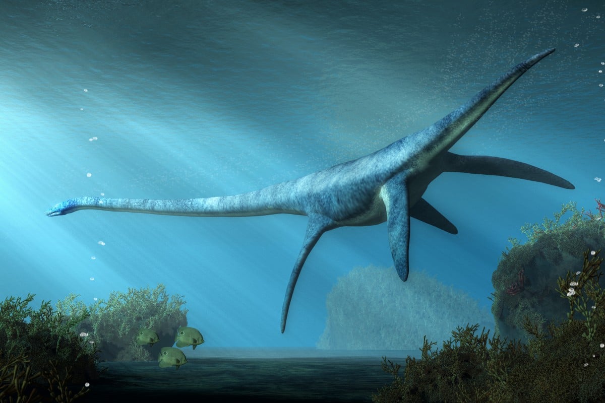 Plesiosaurs appeared about 203 million years ago and ruled the oceans unchallenged for millions of years. Photo: Shutterstock