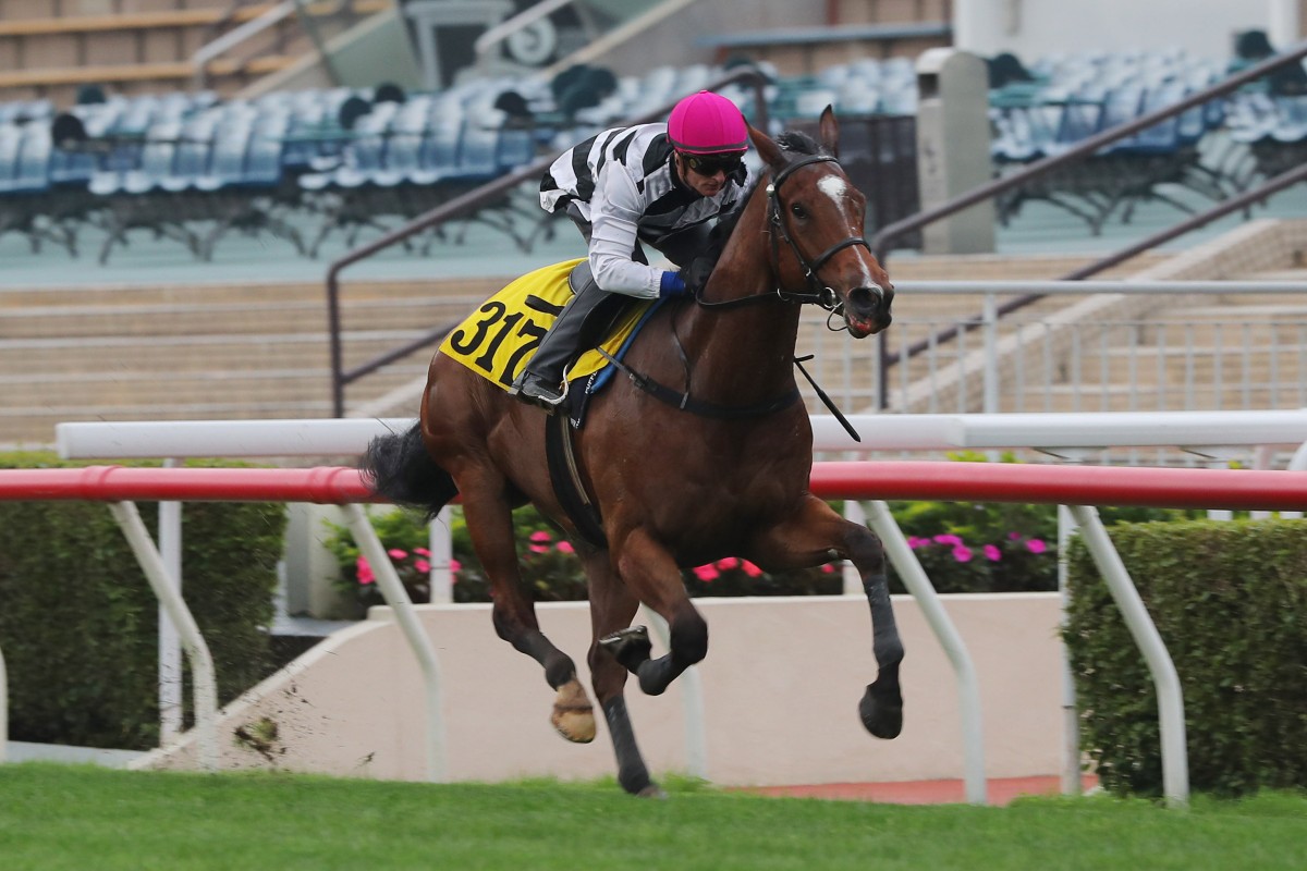 Dan Attack wins his Sha Tin barrier trial on April 11 under Zac Purton. Photo: Kenneth Chan