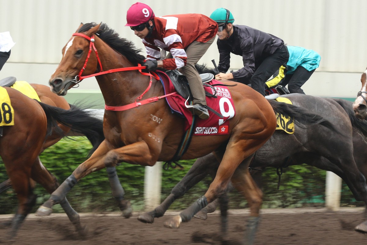 Sight Success trials under Vagner Borges at Sha Tin on Tuesday morning. Photo: Kenneth Chan