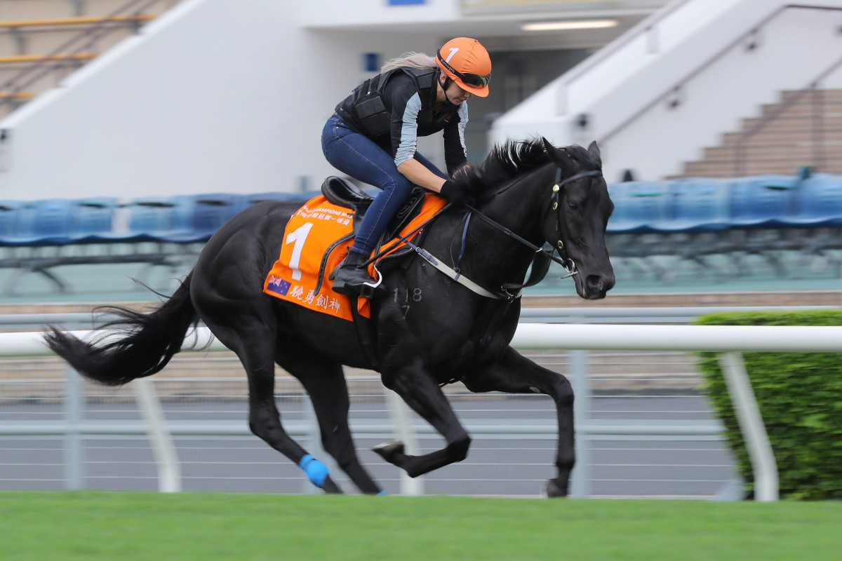 Group One FWD Champions Mile runner Aegon gallops at Sha Tin on Thursday morning. Photo: Kenneth Chan
