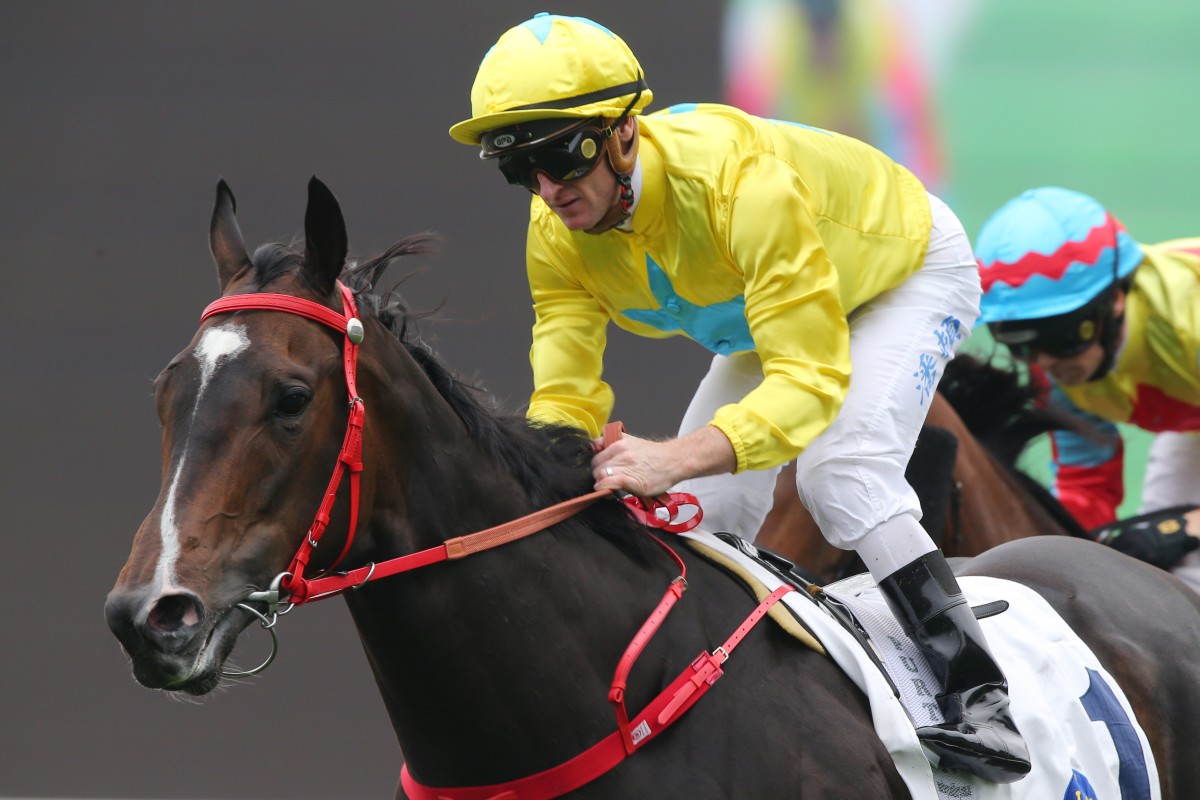 Lucky Sweynesse wins the Group Two Sprint Cup under Zac Purton earlier this month. Photo: Kenneth Chan
