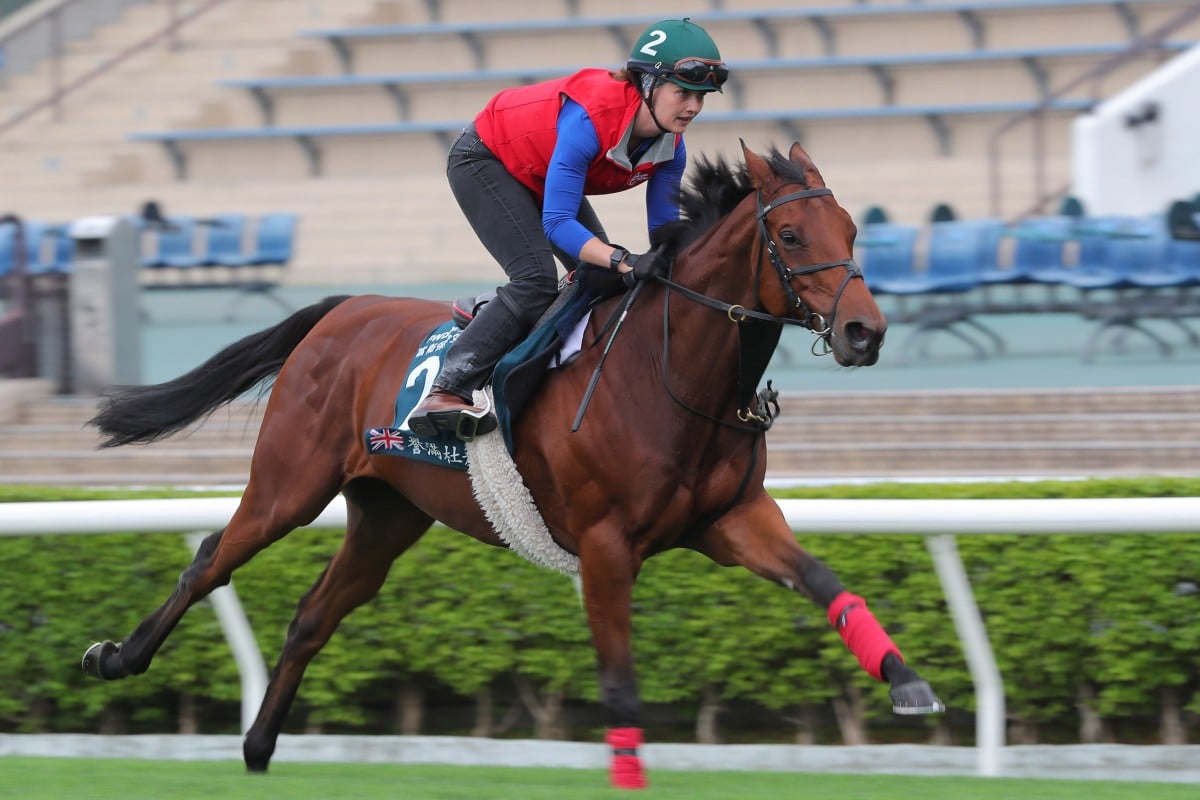 Dubai Honour gallops under Issy Paul at Sha Tin this week. Photos: Kenneth Chan