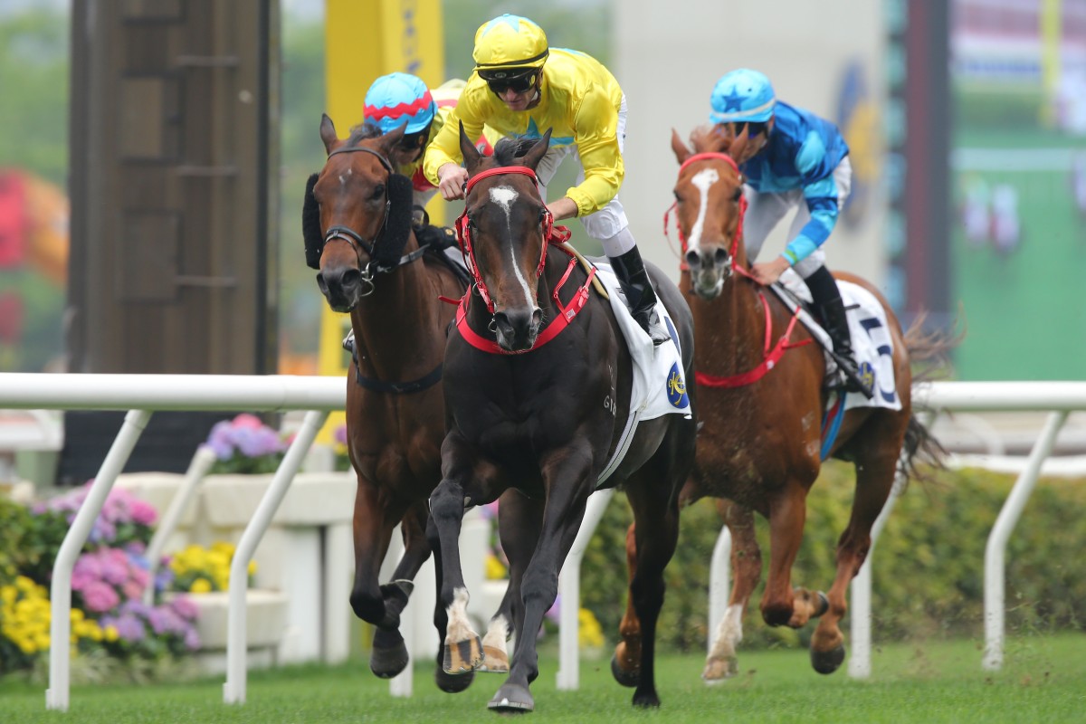 Lucky Sweynesse (middle) wins the recent Sprint Cup. Photos: Kenneth Chan.