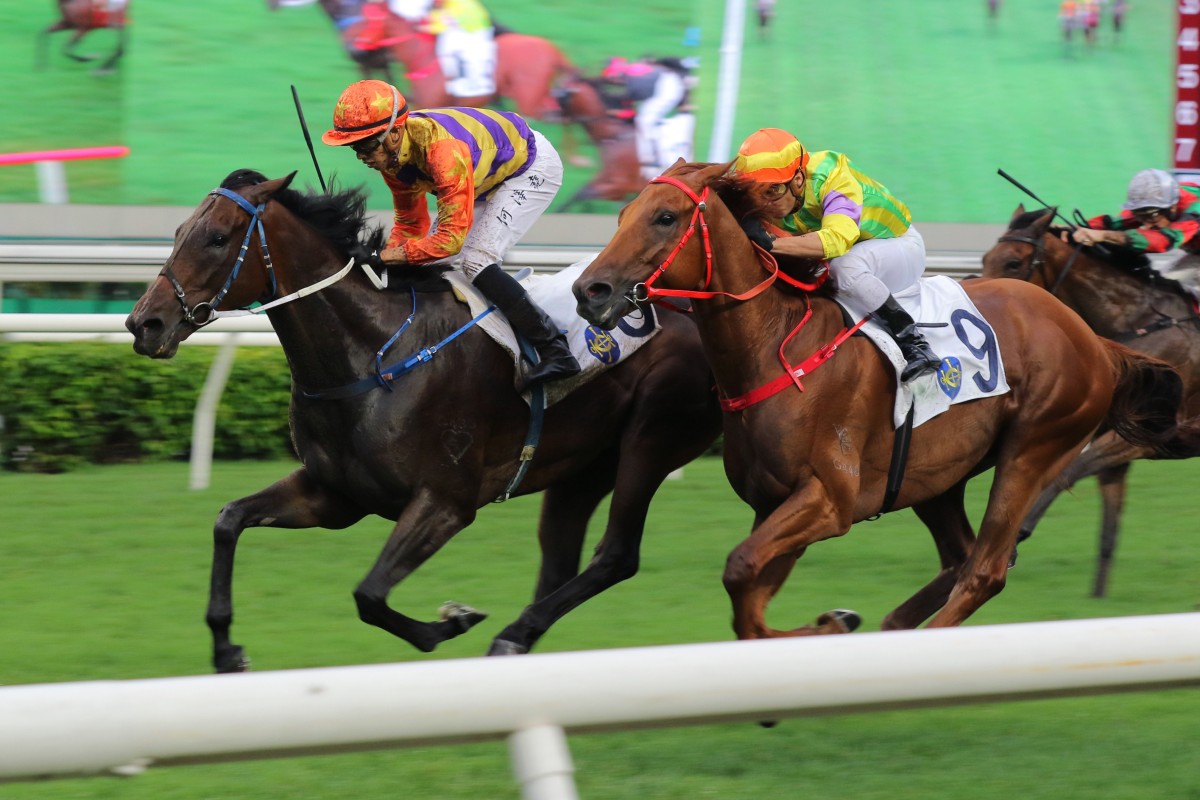 Straight Arron wins the Queen Mother Memorial Cup under Vincent Ho at Sha Tin on Sunday. Photos: Kenneth Chan