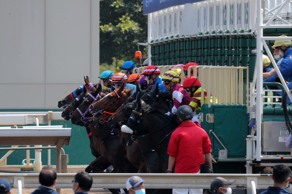 A field leaves the gates. Photo: Kenneth Chan