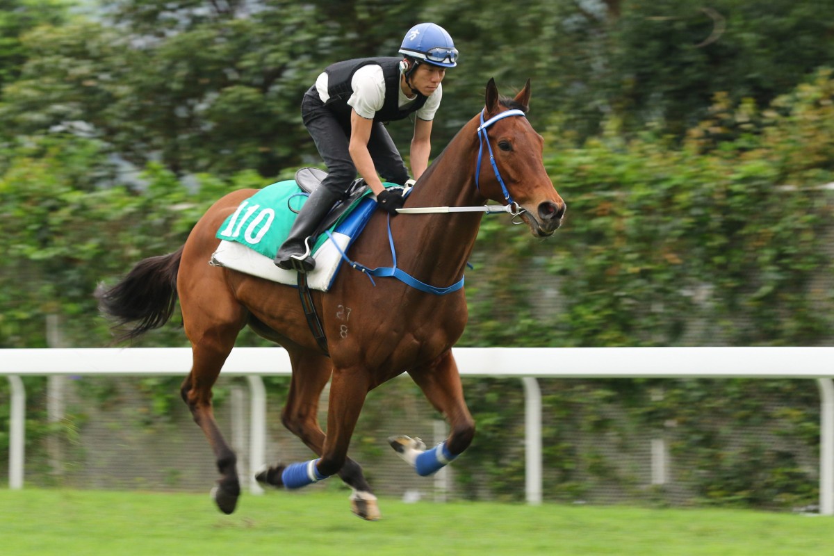 Galaxy Witness gallops at Sha Tin on Monday. Photos: Kenneth Chan