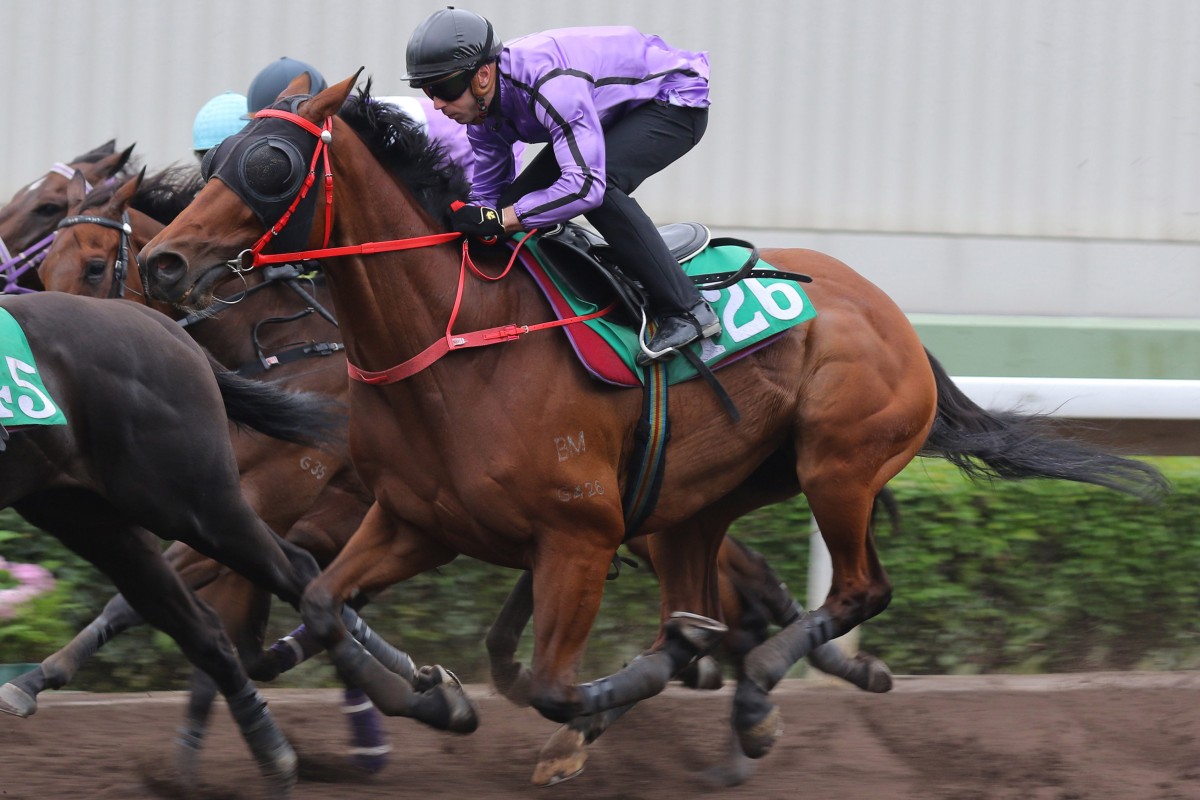 Brenton Avdulla partners Sweet Encounter in a trial on May 12. Photos: Kenneth Chan