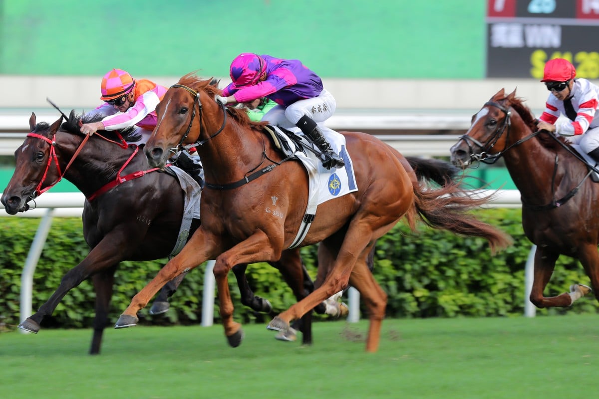 Lyle Hewitson drives Ching to victory at Sha Tin on Sunday. Photos: Kenneth Chan