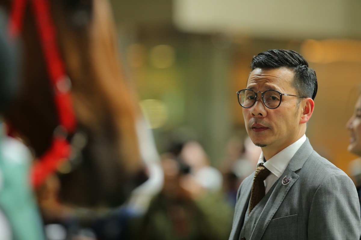 Champion trainer Frankie Lor celebrates one of his 55 wins this season at Happy Valley on February 8. Photo: Kenneth Chan