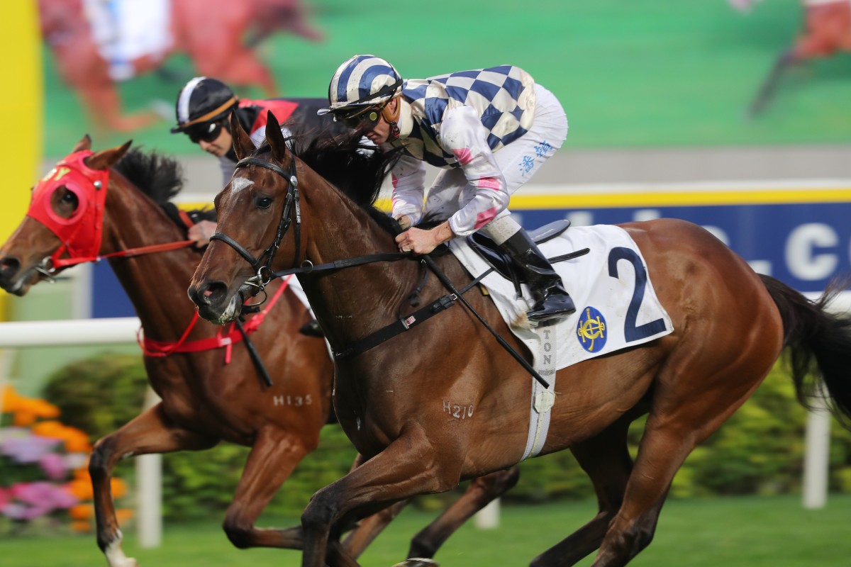 Zac Purton rides Alacrity to the Chilean Group One winner’s first Hong Kong victory at Sha Tin on April 2. Photo: Kenneth Chan