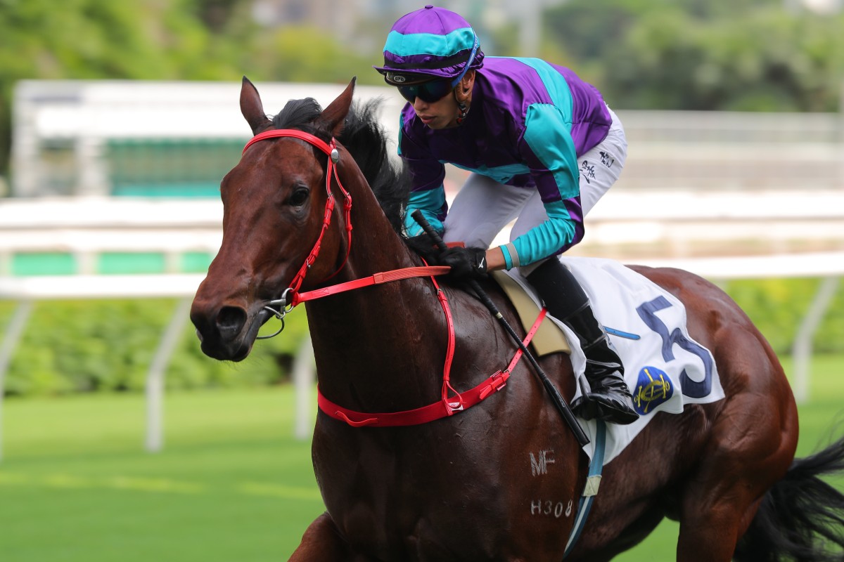 Dream Winner wins at Sha Tin on Saturday, the first leg of Vincent Ho’s twilight treble. Photo: Kenneth Chan